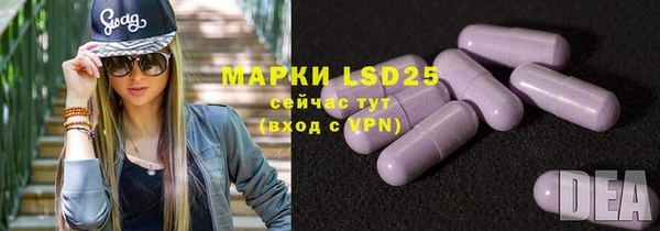 прущие грибы Алексеевка