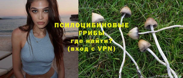 a pvp Алексин