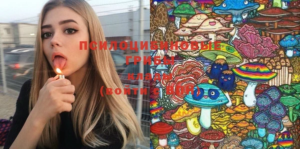 дмт Алзамай
